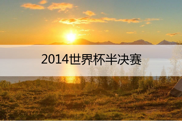 2014世界杯半决赛 2012年足球世界杯决赛